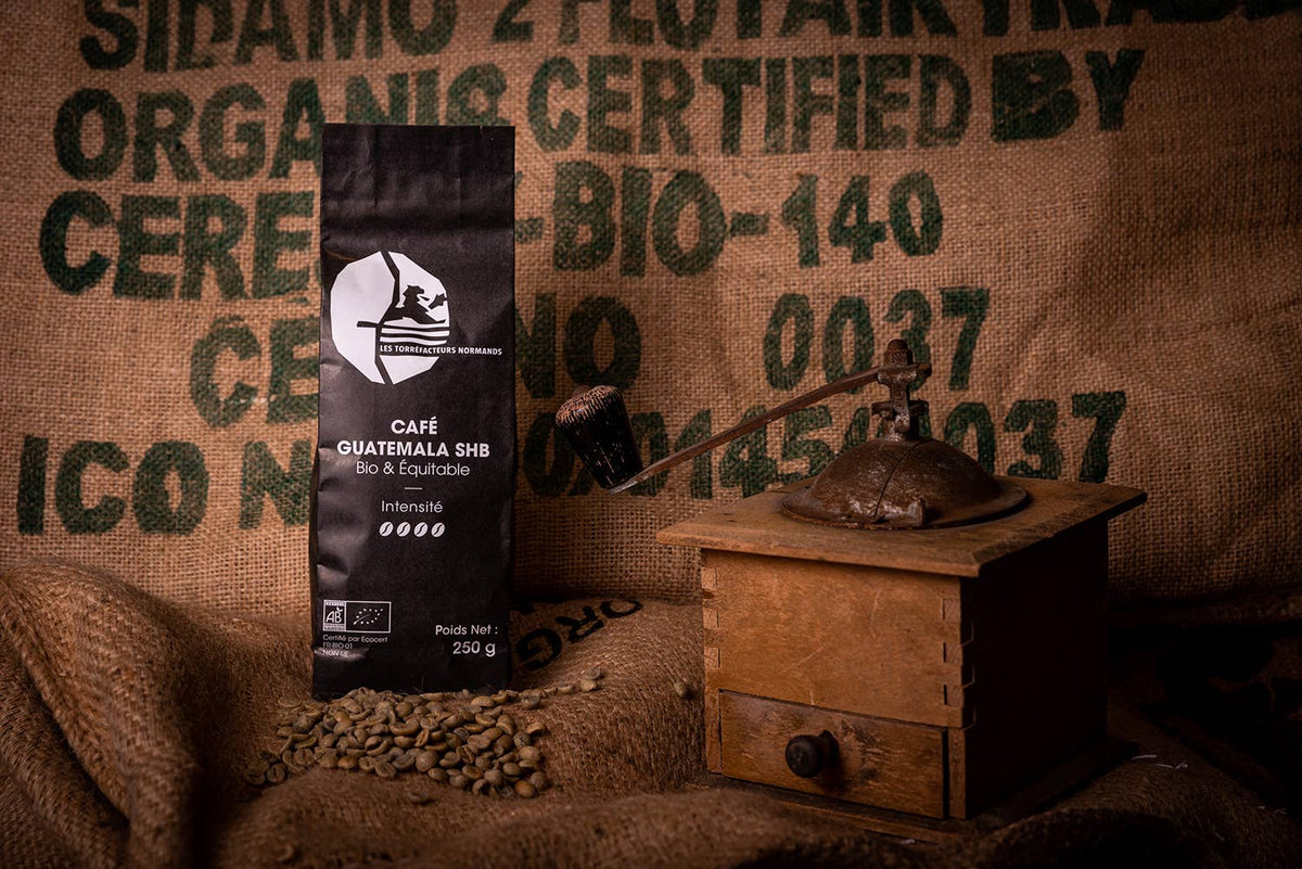 Le café du Guatemala bio et équitable
