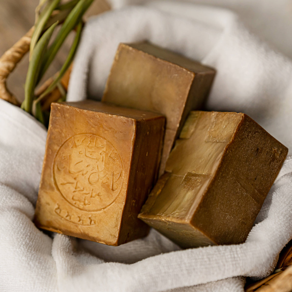 Mosaïque de Traditions : Savon d'Alep avec 1-35% de Laurier Premium