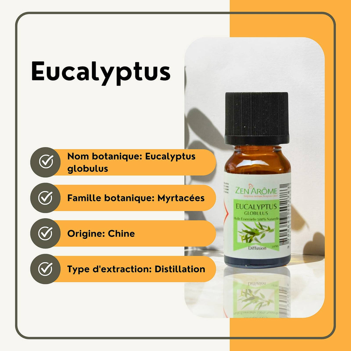 Huile Essentielle Eucalyptus - 100% Naturelle - 10ml