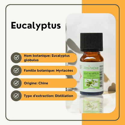 Huile Essentielle Eucalyptus - 100% Naturelle - 10ml