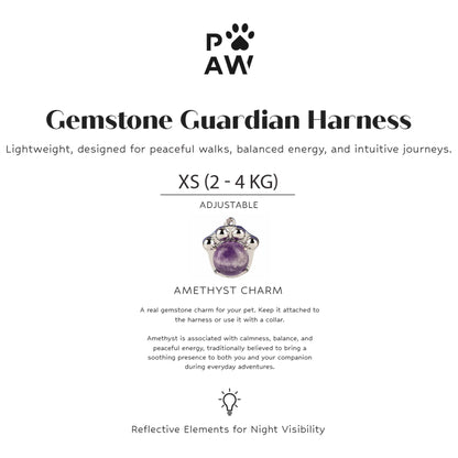 P-AW Harnais du Gardien des Pierres Précieuses