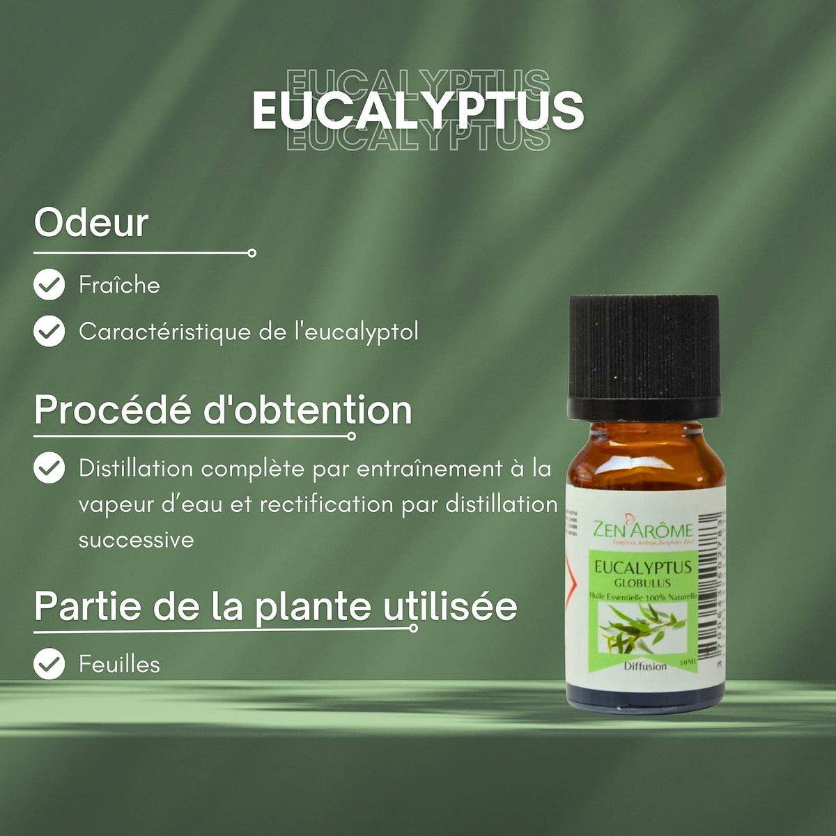 Huile Essentielle Eucalyptus - 100% Naturelle - 10ml