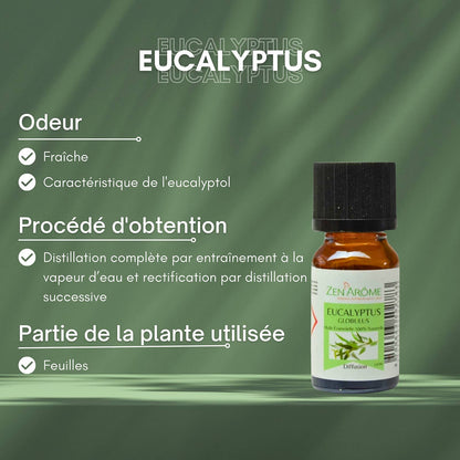 Huile Essentielle Eucalyptus - 100% Naturelle - 10ml