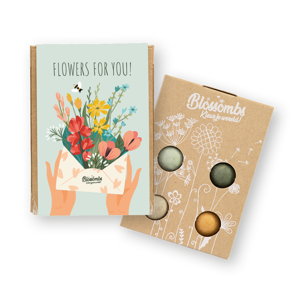 Coffret cadeau écologique avec 4 Blossombs - Fleurs pour vous
