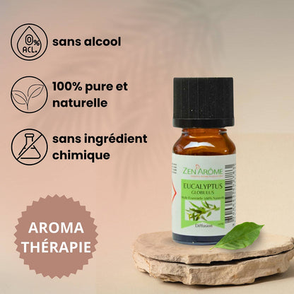 Huile Essentielle Eucalyptus - 100% Naturelle - 10ml