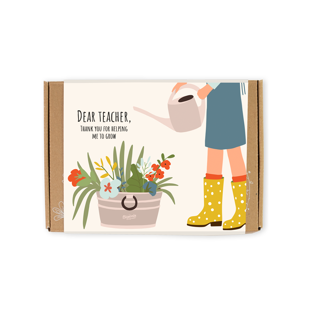 Coffret cadeau bio « Dear Teacher » avec 7 bombes de graines Blossombs