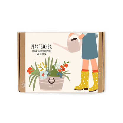 Coffret cadeau bio « Dear Teacher » avec 7 bombes de graines Blossombs