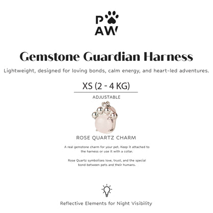 P-AW Harnais du Gardien des Pierres Précieuses
