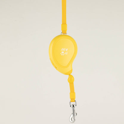 Laisse pour animal Paw - Pocket Pod - 3 m - Jusqu'à 8 kg