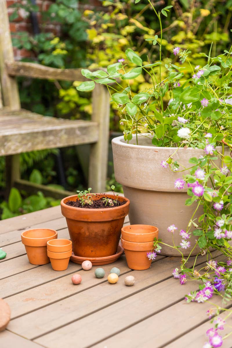 Coffret cadeau écologique avec 4 Blossombs - Fleurs pour vous