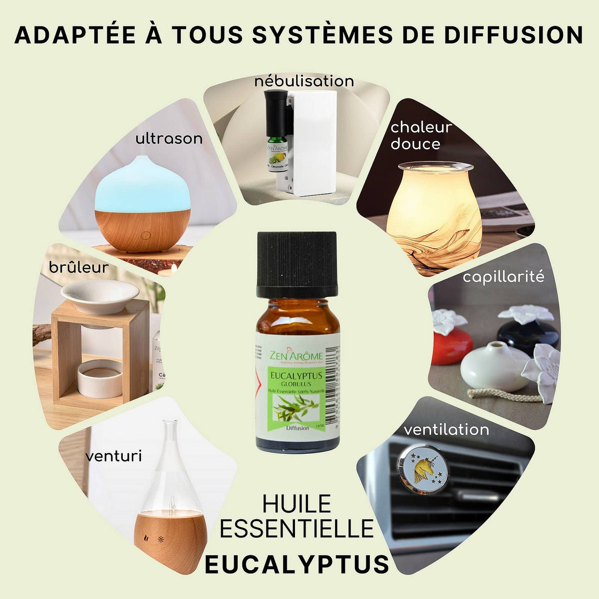 Huile Essentielle Eucalyptus - 100% Naturelle - 10ml
