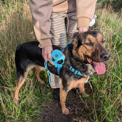 Laisse pour animal de compagnie Paw - Pocket Pod - 2 m - Jusqu'à 35 kg: Bleu