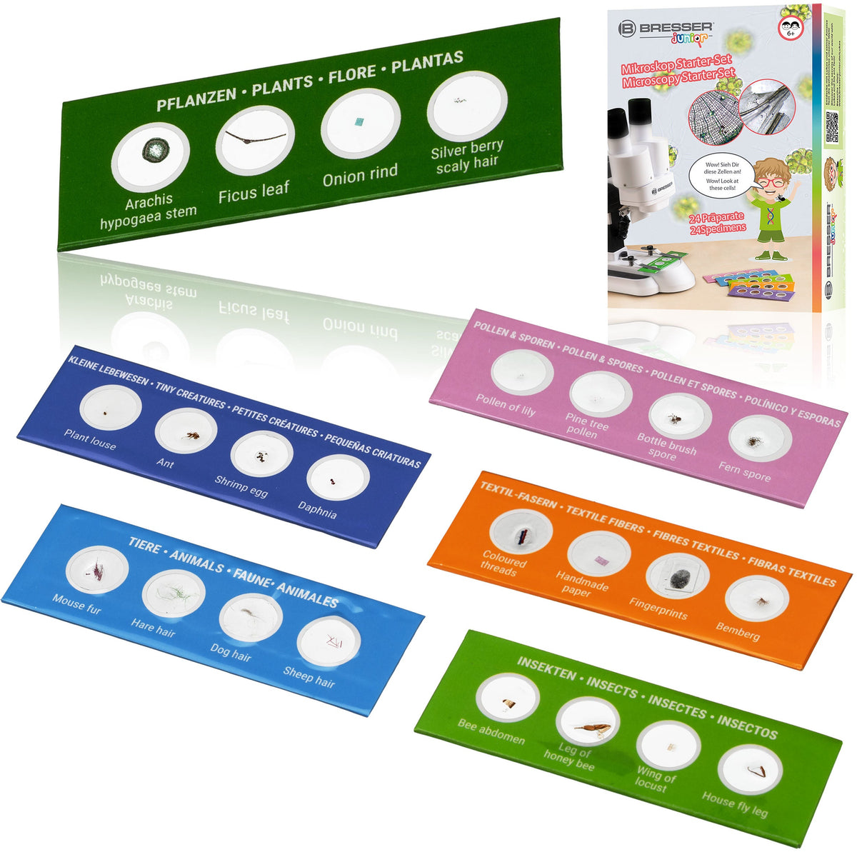 Kit d'expérimentation et démarrage pour microscopie