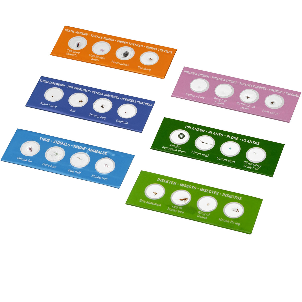 Kit d'expérimentation et démarrage pour microscopie