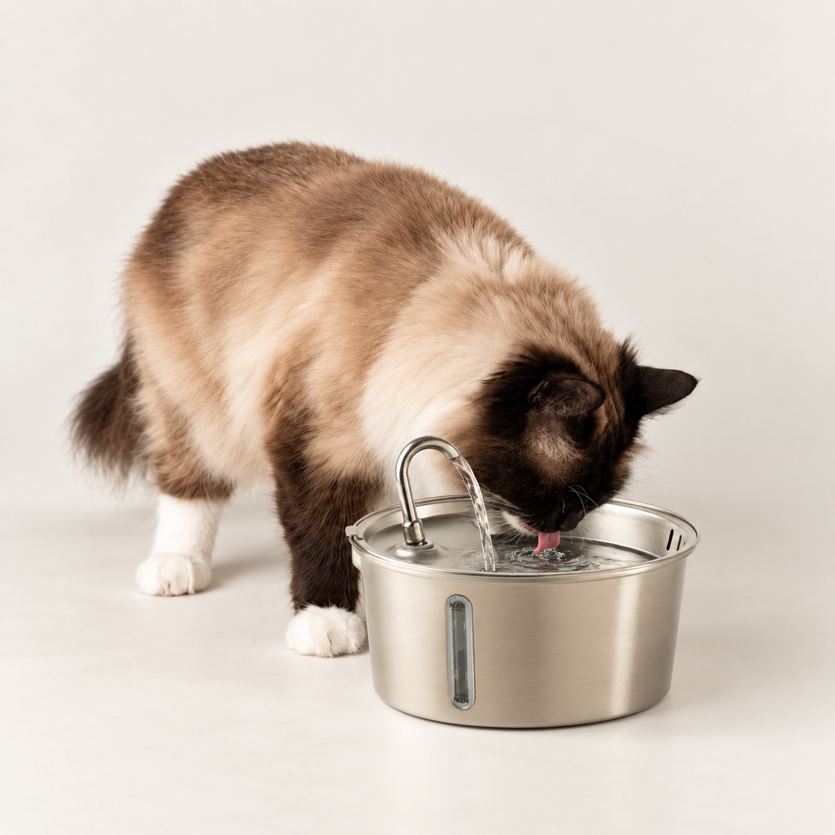 PAW Fontaine à eau électrique 2,5 litres - USB - Acier inoxydable