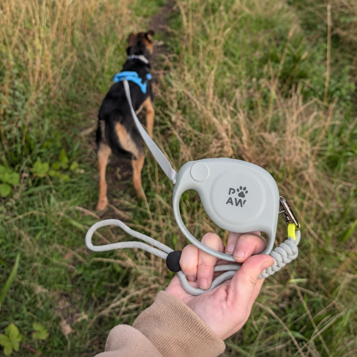 Laisse pour animal de compagnie Paw - Pocket Pod - 2 m - Jusqu'à 35 kg: Bleu
