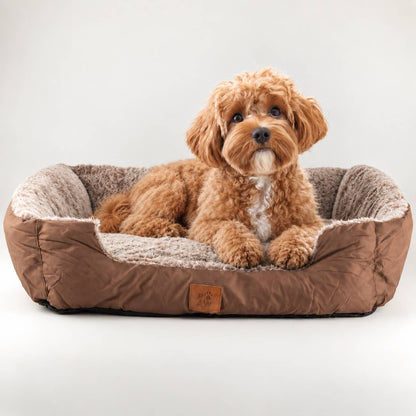 Lit Paw - Petit ours en peluche brun - 60 x 45 x 17 cm