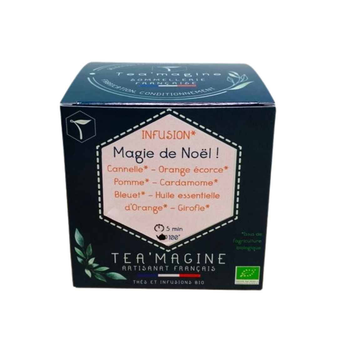 Magie de Noël BIO Infusion Pomme Orange épice