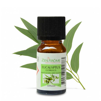 Huile Essentielle Eucalyptus - 100% Naturelle - 10ml