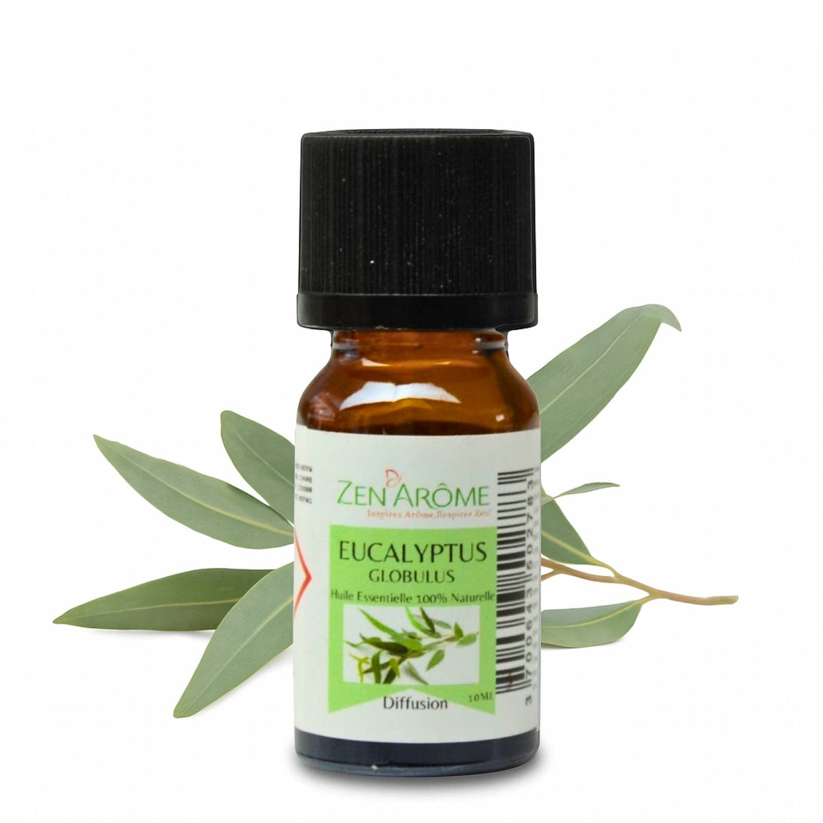 Huile Essentielle Eucalyptus - 100% Naturelle - 10ml