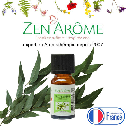 Huile Essentielle Eucalyptus - 100% Naturelle - 10ml