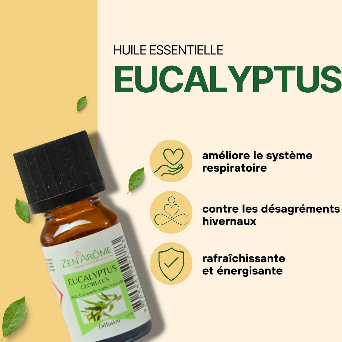 Huile Essentielle Eucalyptus - 100% Naturelle - 10ml