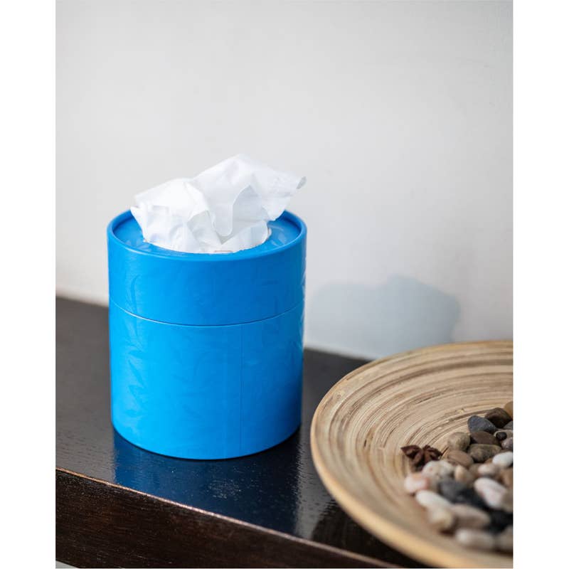 Mouchoirs en papier blancs Renova boîte bleue - image 2
