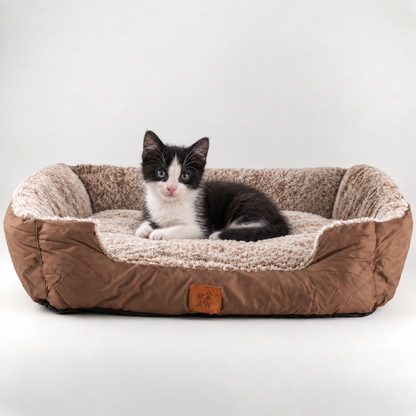 Lit Paw - Petit ours en peluche brun - 60 x 45 x 17 cm