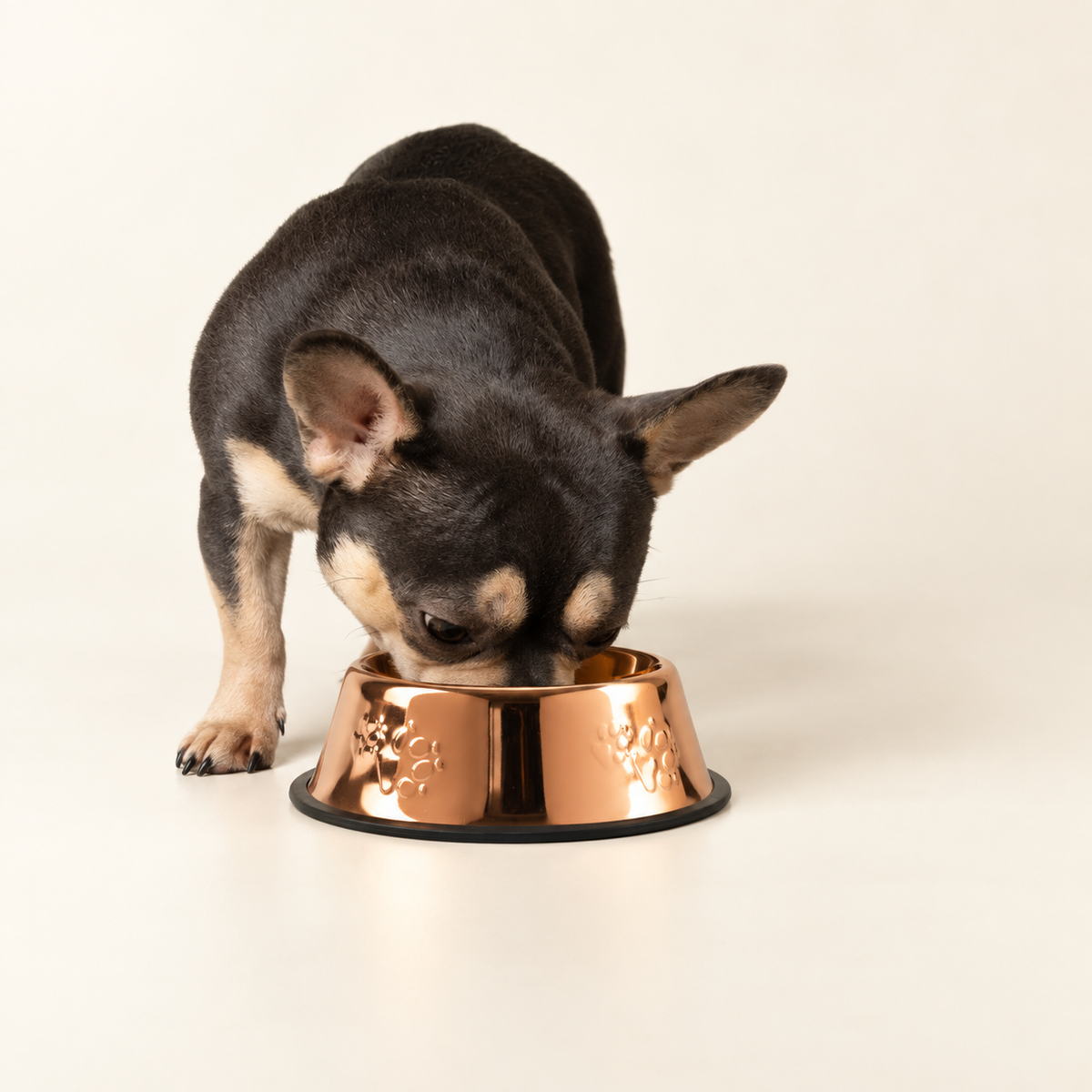 Gamelles PAW - Style cuivre simple - 18 cm