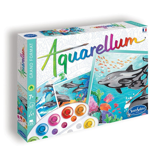 Dauphins - Aquarellum