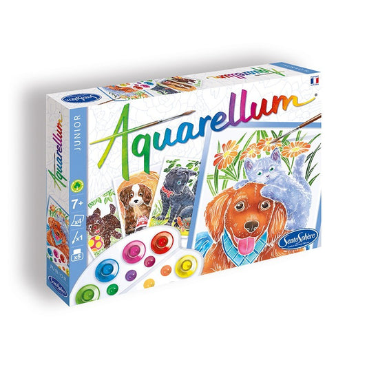 Junior Aquarellum - Chiots