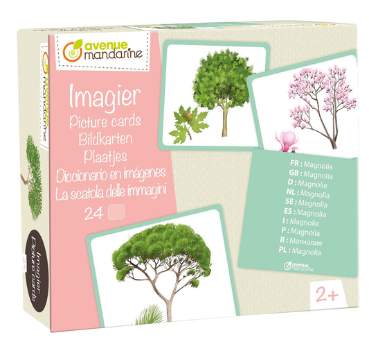 Imagier, Arbres