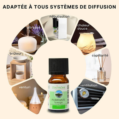Synergie d'Huile Essentielle Purifiante à Diffuseur - 10 ml