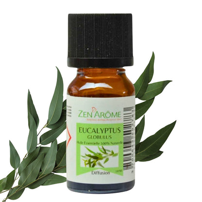 Huile Essentielle Eucalyptus - 100% Naturelle - 10ml