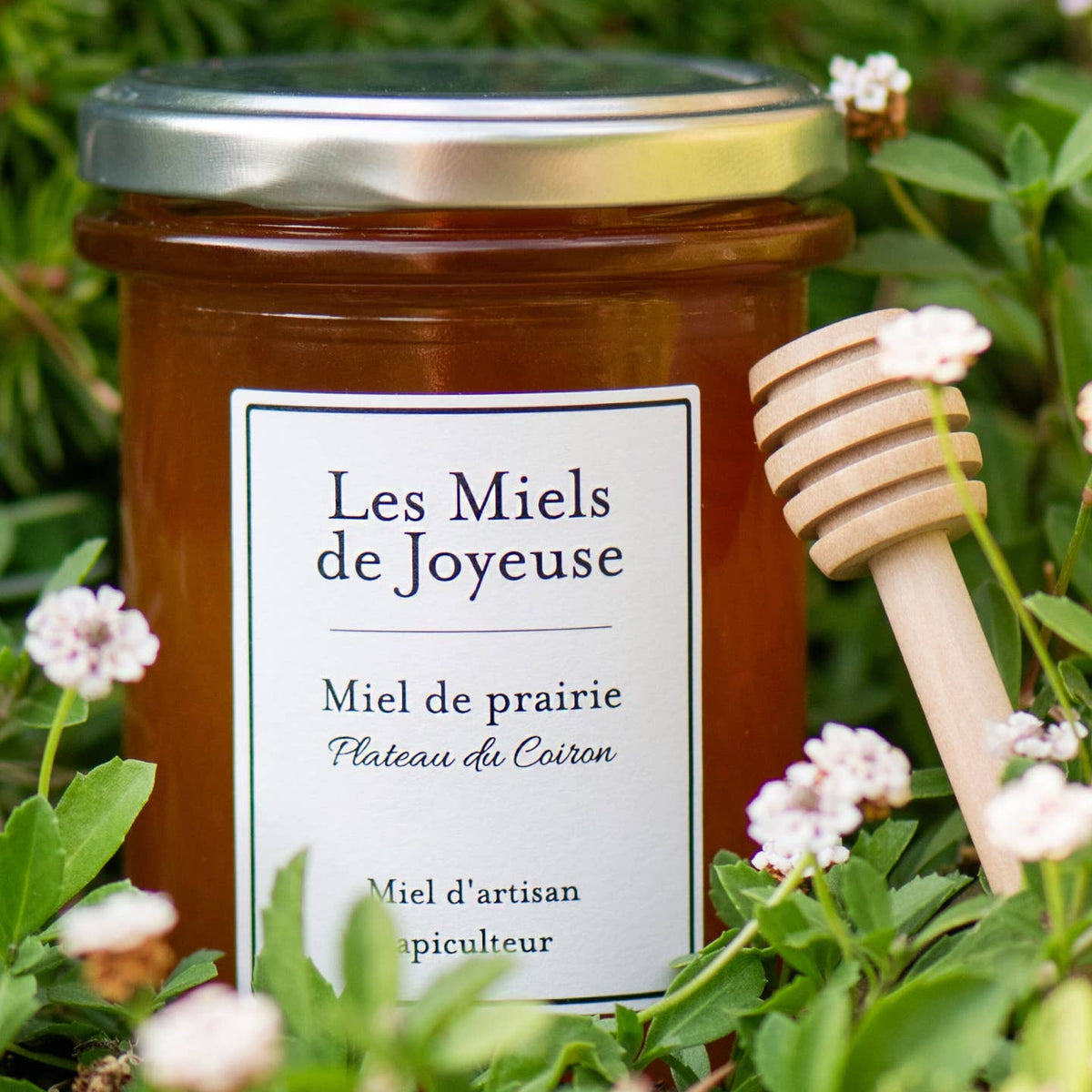 Miel de prairie sauvage