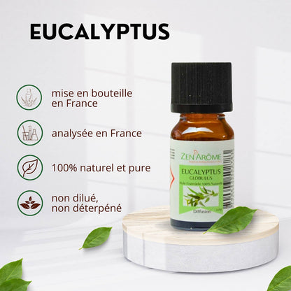 Huile Essentielle Eucalyptus - 100% Naturelle - 10ml