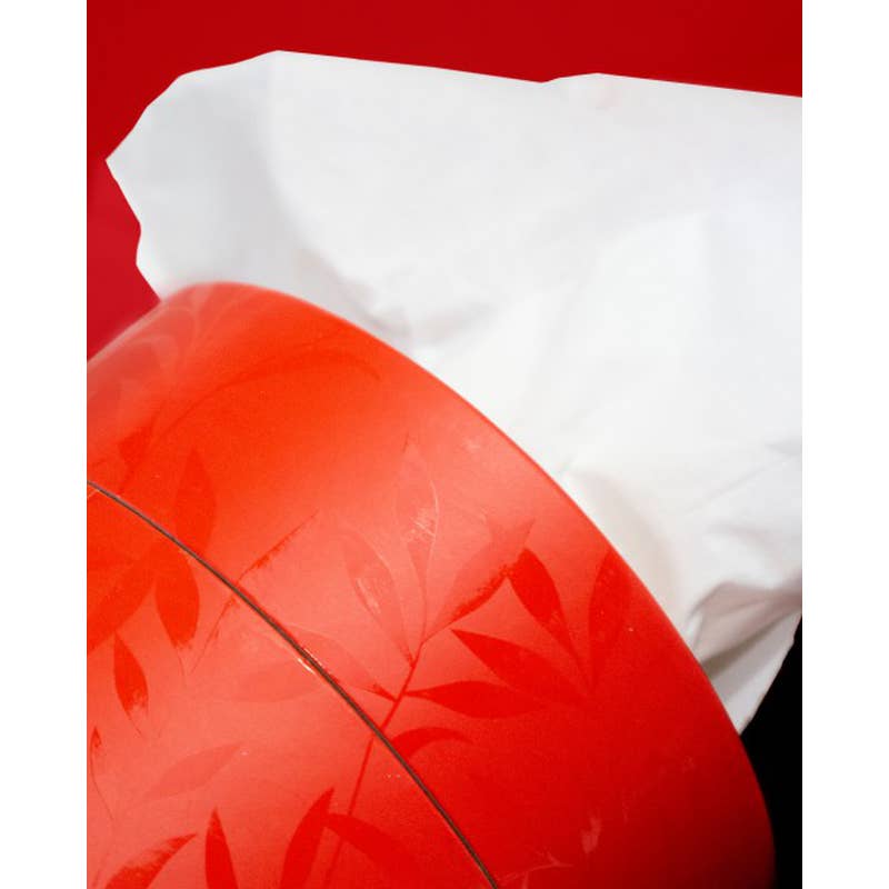 Mouchoirs Blancs Renova Boîte Rouge - image 3