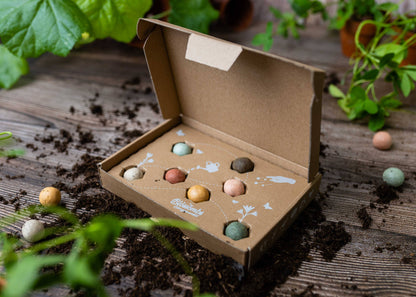 Coffret cadeau bio « Dear Teacher » avec 7 bombes de graines Blossombs