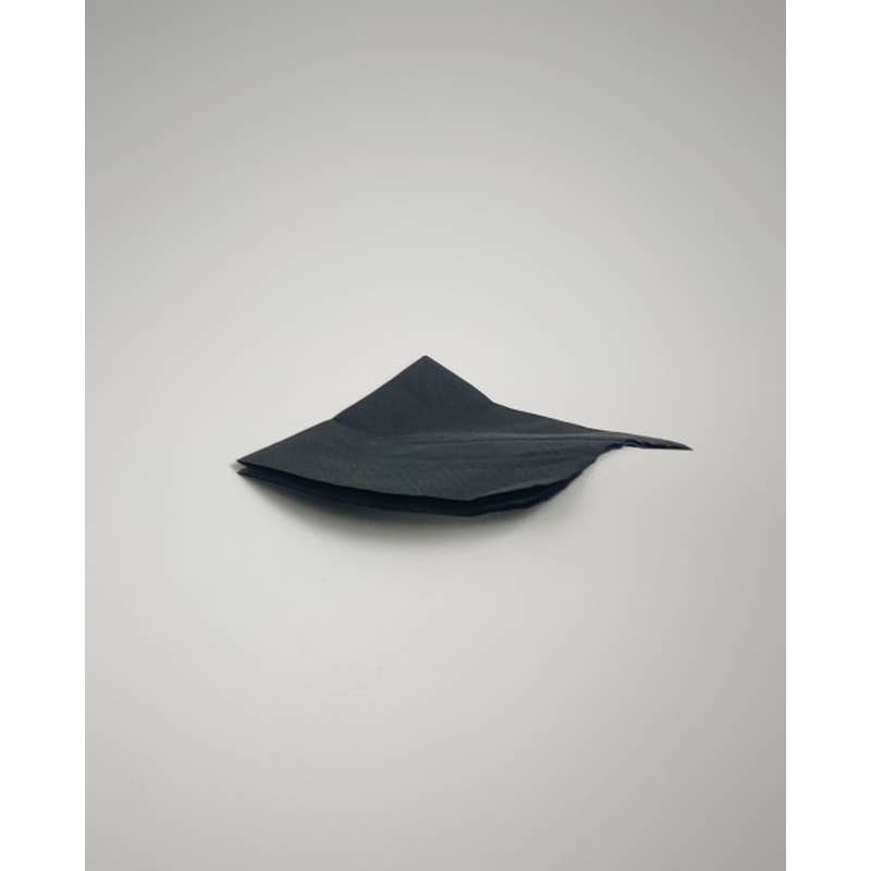 Serviettes cocktail RENOVA noires - image 2