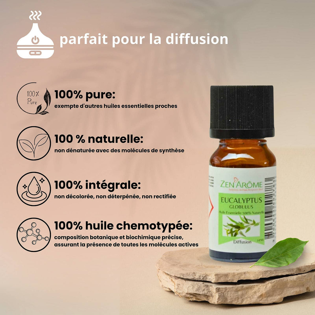 Huile Essentielle Eucalyptus - 100% Naturelle - 10ml