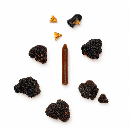 Coffret 1 crayon Truffe noire