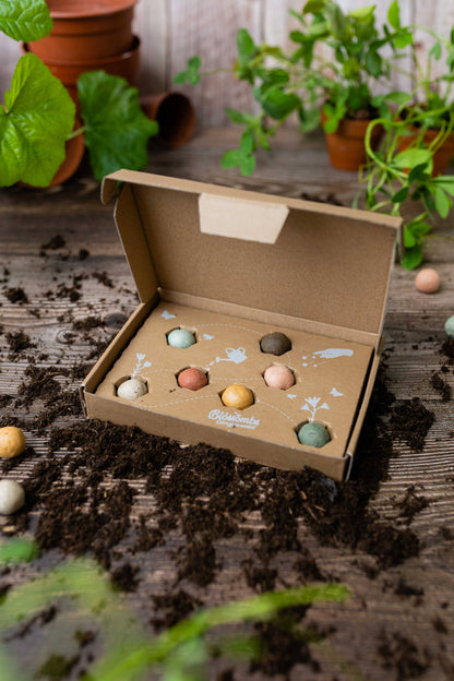 Coffret cadeau bio « Dear Teacher » avec 7 bombes de graines Blossombs