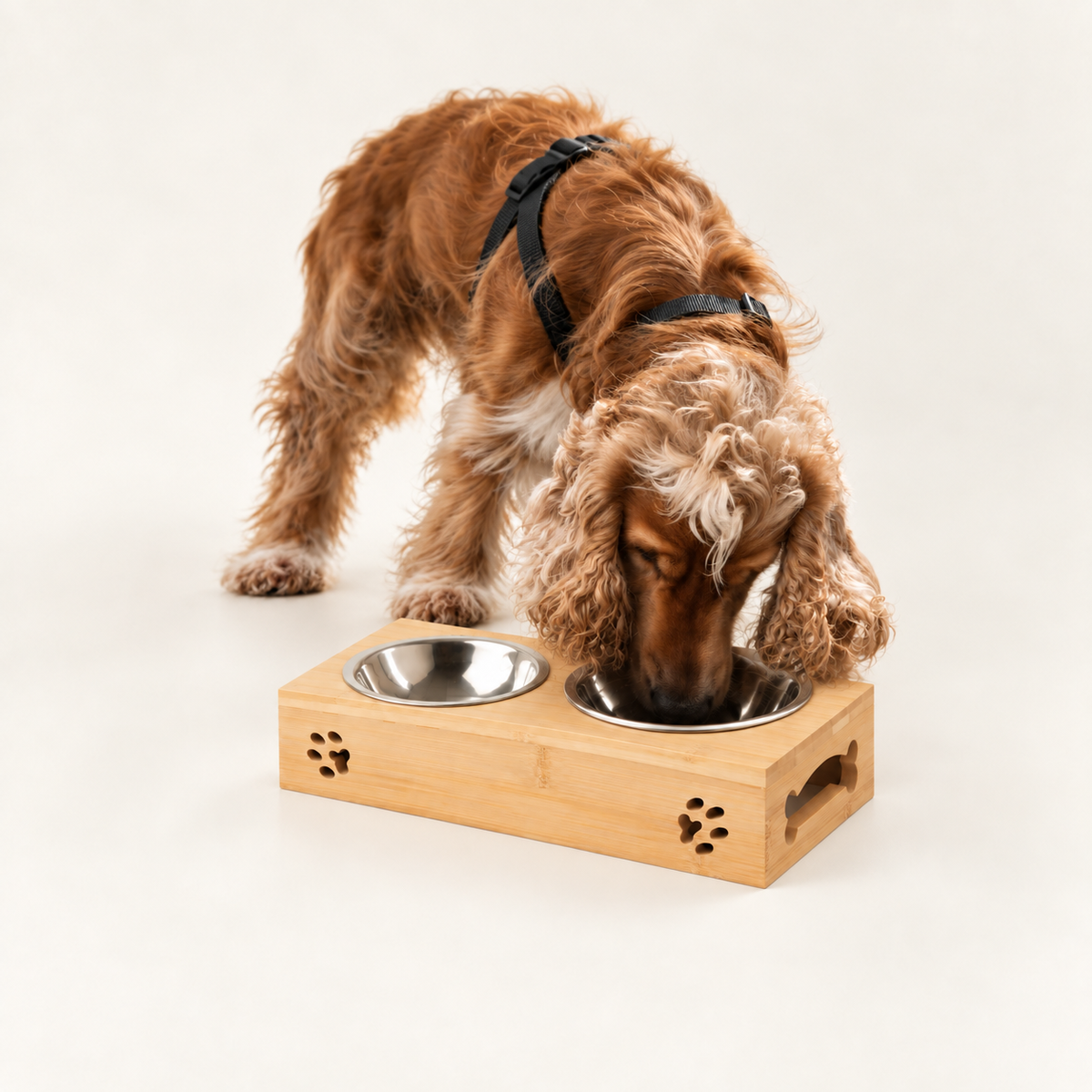 PAW Gamelles - Double bol en acier inoxydable sur support en bois - x2