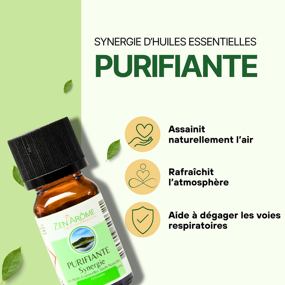 Synergie d'Huile Essentielle Purifiante à Diffuseur - 10 ml
